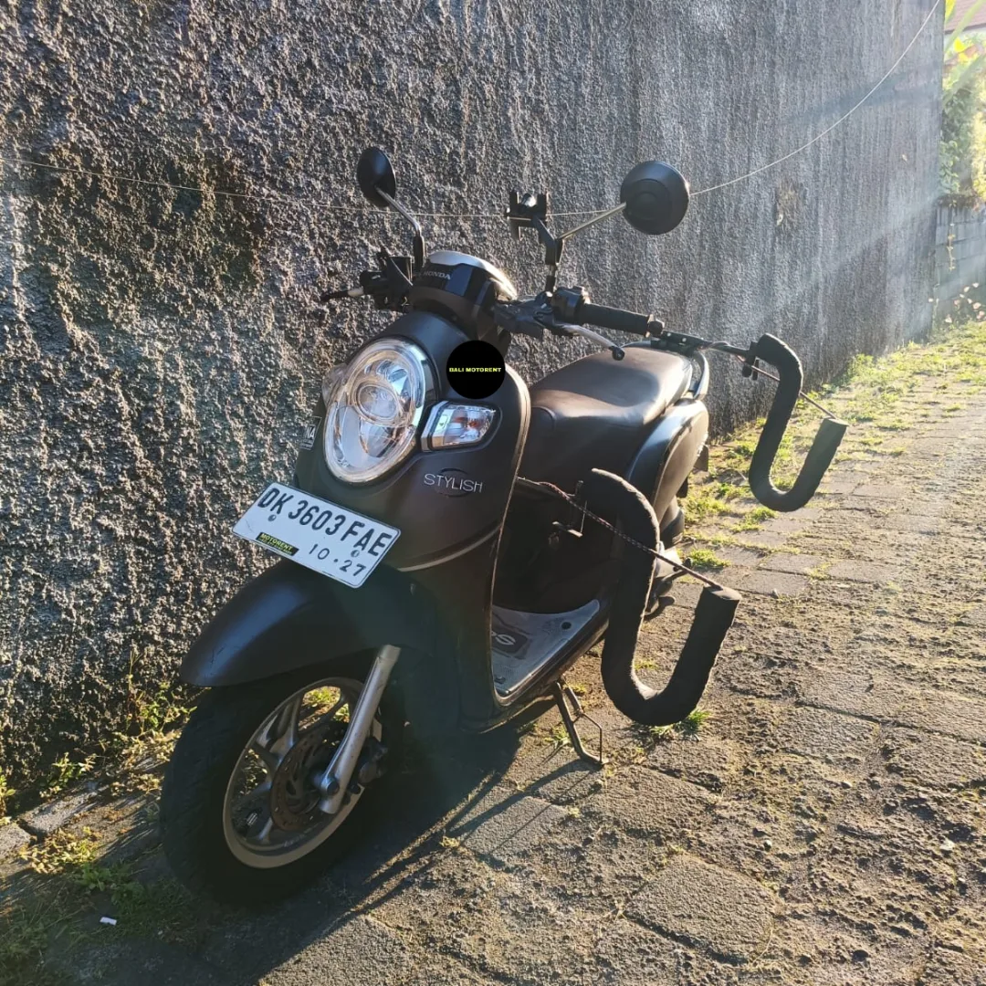 SCOOPY SYLISH